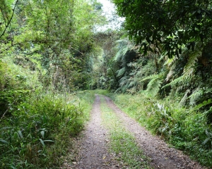 caminhos-2.jpg