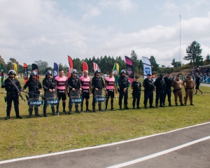 dsc8498.jpg