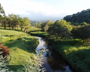 meio-ambiente-4.jpg