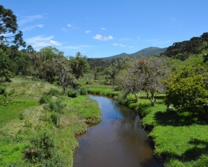 rio-capivari-mirim-vista-da-ponte-do-arco.jpg