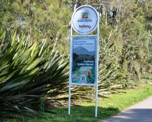 totens-1-site.jpg
