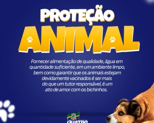 whatsapp-image-2021-06-24-at-173803_(294).jpeg