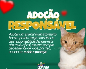 whatsapp-image-2021-06-24-at-173805_(782).jpeg