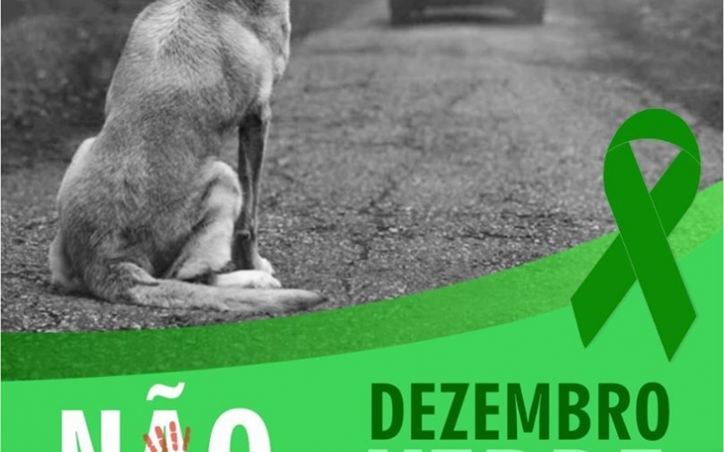 PREFEITURA DE QUATRO BARRAS LANÇA CAMPANHA DEZEMBRO VERDE, DE CONSCIENTIZAÇÃO SOBRE A CAUSA ANIMAL