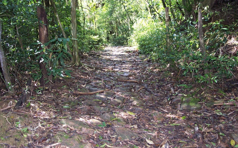 Quatro Barras cria grupo de estudos arqueológicos dos  Caminhos Coloniais