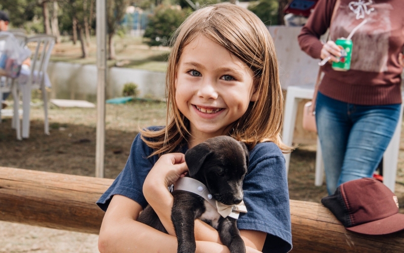 Durante feira de adoção, cãezinhos do abrigo municipal recebem novo lar