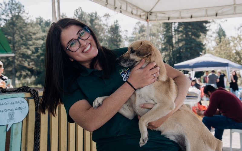 Amor que não se mede: cãezinhos são adotados na 2ª edição do Domingo Pet