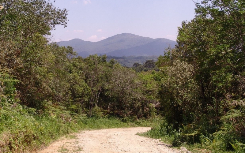 Prefeitura decreta Lockdown na área rural de Quatro Barras