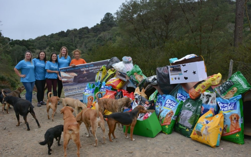 Equipe SESI arrecada meia tonelada de ração para a ong Anjos dos Animais