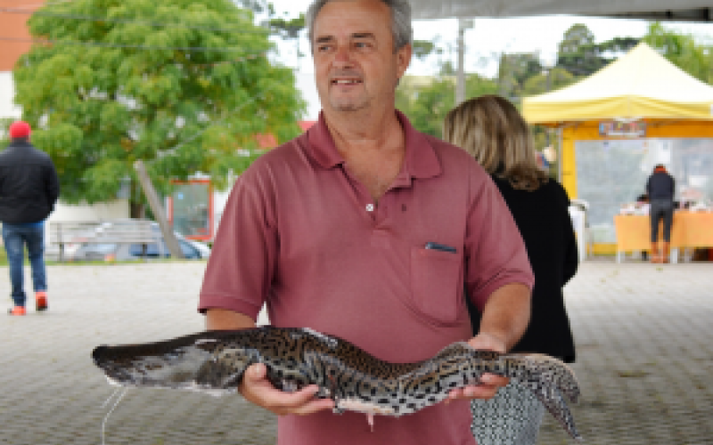Quatro Barras realiza Feira do Peixe nos dias 29 e 30