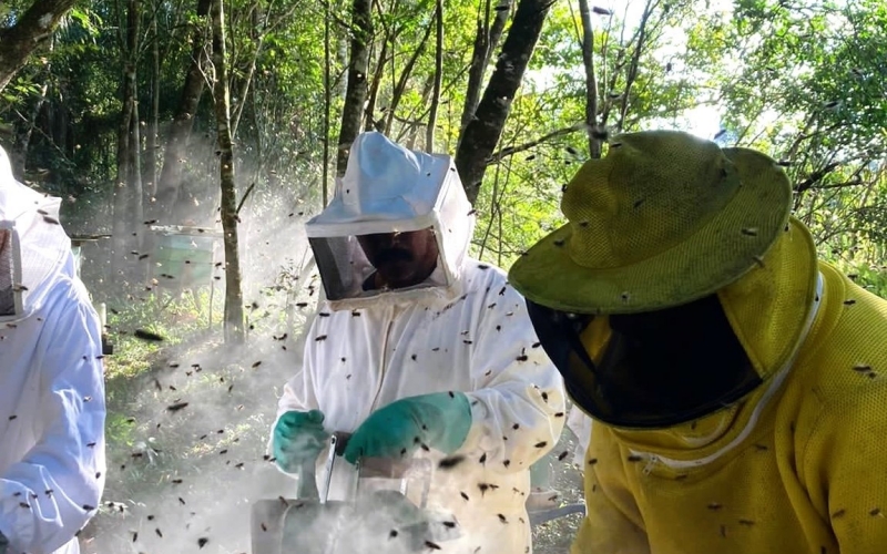 Trabalho e renda nas propriedades: produtores participam de qualificação na área de Apicultura